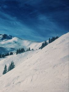 Preview wallpaper mountains, snow, winter, top, conifer