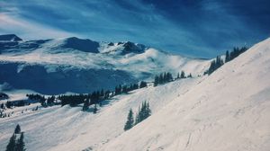 Preview wallpaper mountains, snow, winter, top, conifer