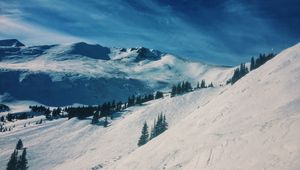 Preview wallpaper mountains, snow, winter, top, conifer