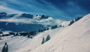 Preview wallpaper mountains, snow, winter, top, conifer