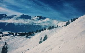 Preview wallpaper mountains, snow, winter, top, conifer