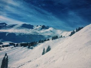 Preview wallpaper mountains, snow, winter, top, conifer