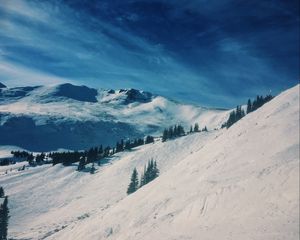 Preview wallpaper mountains, snow, winter, top, conifer