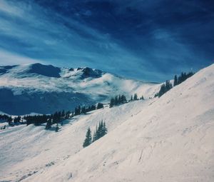 Preview wallpaper mountains, snow, winter, top, conifer