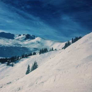 Preview wallpaper mountains, snow, winter, top, conifer