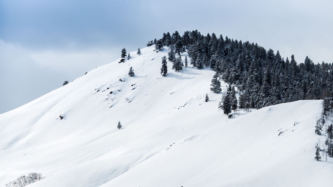 Wallpaper mountains, snow, winter, trees, top