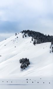 Preview wallpaper mountains, snow, winter, trees, top