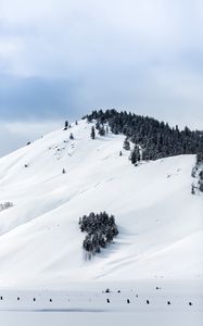 Preview wallpaper mountains, snow, winter, trees, top