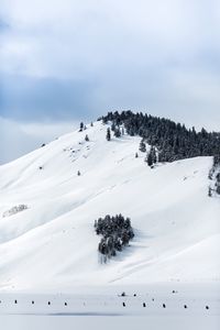 Preview wallpaper mountains, snow, winter, trees, top