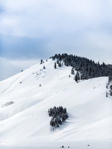 Preview wallpaper mountains, snow, winter, trees, top