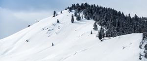 Preview wallpaper mountains, snow, winter, trees, top