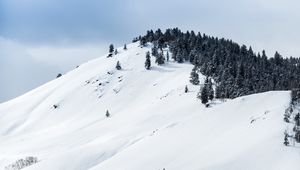 Preview wallpaper mountains, snow, winter, trees, top