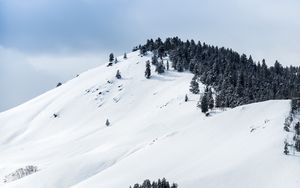 Preview wallpaper mountains, snow, winter, trees, top