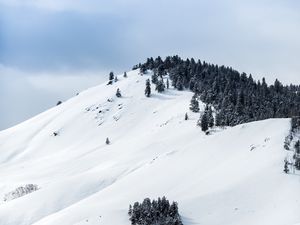 Preview wallpaper mountains, snow, winter, trees, top
