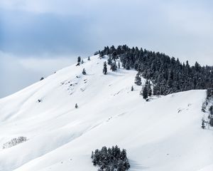 Preview wallpaper mountains, snow, winter, trees, top