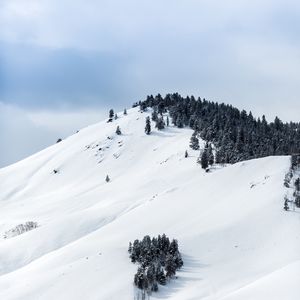 Preview wallpaper mountains, snow, winter, trees, top