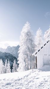 Preview wallpaper mountains, snow, winter, building, trees
