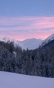 Preview wallpaper mountains, snow, winter, snowy, trees, mountain landscape, switzerland