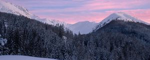 Preview wallpaper mountains, snow, winter, snowy, trees, mountain landscape, switzerland