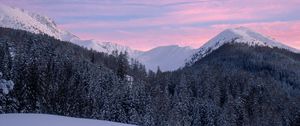 Preview wallpaper mountains, snow, winter, snowy, trees, mountain landscape, switzerland