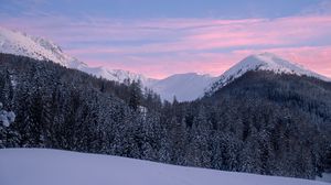 Preview wallpaper mountains, snow, winter, snowy, trees, mountain landscape, switzerland