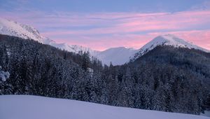 Preview wallpaper mountains, snow, winter, snowy, trees, mountain landscape, switzerland