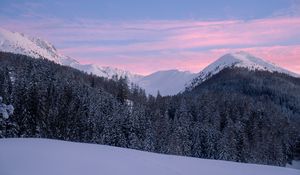 Preview wallpaper mountains, snow, winter, snowy, trees, mountain landscape, switzerland