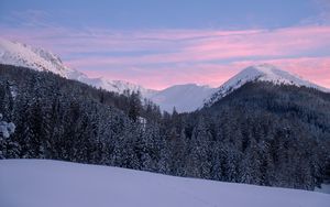 Preview wallpaper mountains, snow, winter, snowy, trees, mountain landscape, switzerland