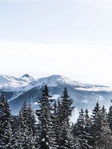 Preview wallpaper mountains, snow, winter, peaks, snowy, switzerland