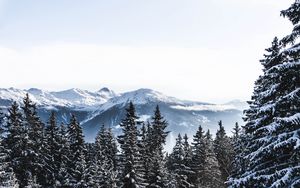 Preview wallpaper mountains, snow, winter, peaks, snowy, switzerland