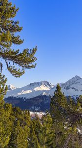 Preview wallpaper mountains, snow, winter, trees, landscape, nature