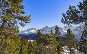 Preview wallpaper mountains, snow, winter, trees, landscape, nature