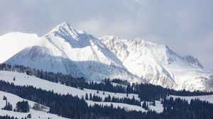 Preview wallpaper mountains, snow, winter, trees, slope, nature