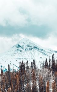 Preview wallpaper mountains, snow-covered, trees