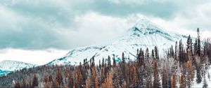 Preview wallpaper mountains, snow-covered, trees