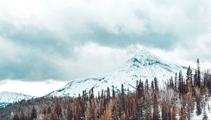 Preview wallpaper mountains, snow-covered, trees