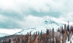 Preview wallpaper mountains, snow-covered, trees