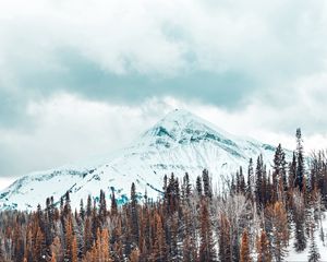 Preview wallpaper mountains, snow-covered, trees