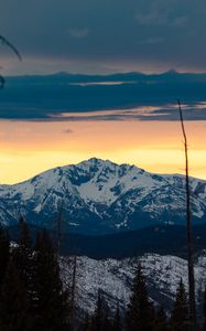 Preview wallpaper mountains, snowy, forest, trees