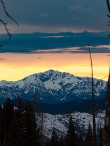 Preview wallpaper mountains, snowy, forest, trees