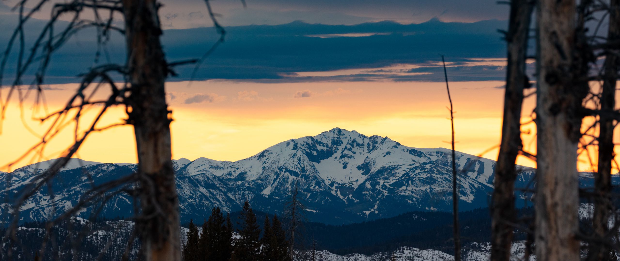 Download wallpaper 2560x1080 mountains, snowy, forest, trees dual wide