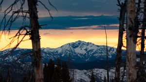 Preview wallpaper mountains, snowy, forest, trees