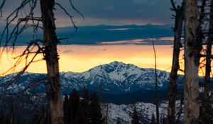 Preview wallpaper mountains, snowy, forest, trees