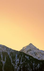 Preview wallpaper mountains, snowy, forest, sky