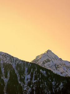 Preview wallpaper mountains, snowy, forest, sky