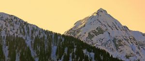 Preview wallpaper mountains, snowy, forest, sky