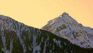 Preview wallpaper mountains, snowy, forest, sky