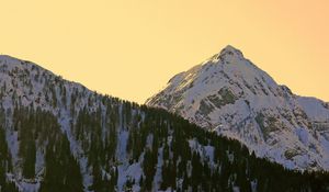 Preview wallpaper mountains, snowy, forest, sky