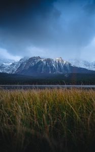 Preview wallpaper mountains, snowy, grass, road