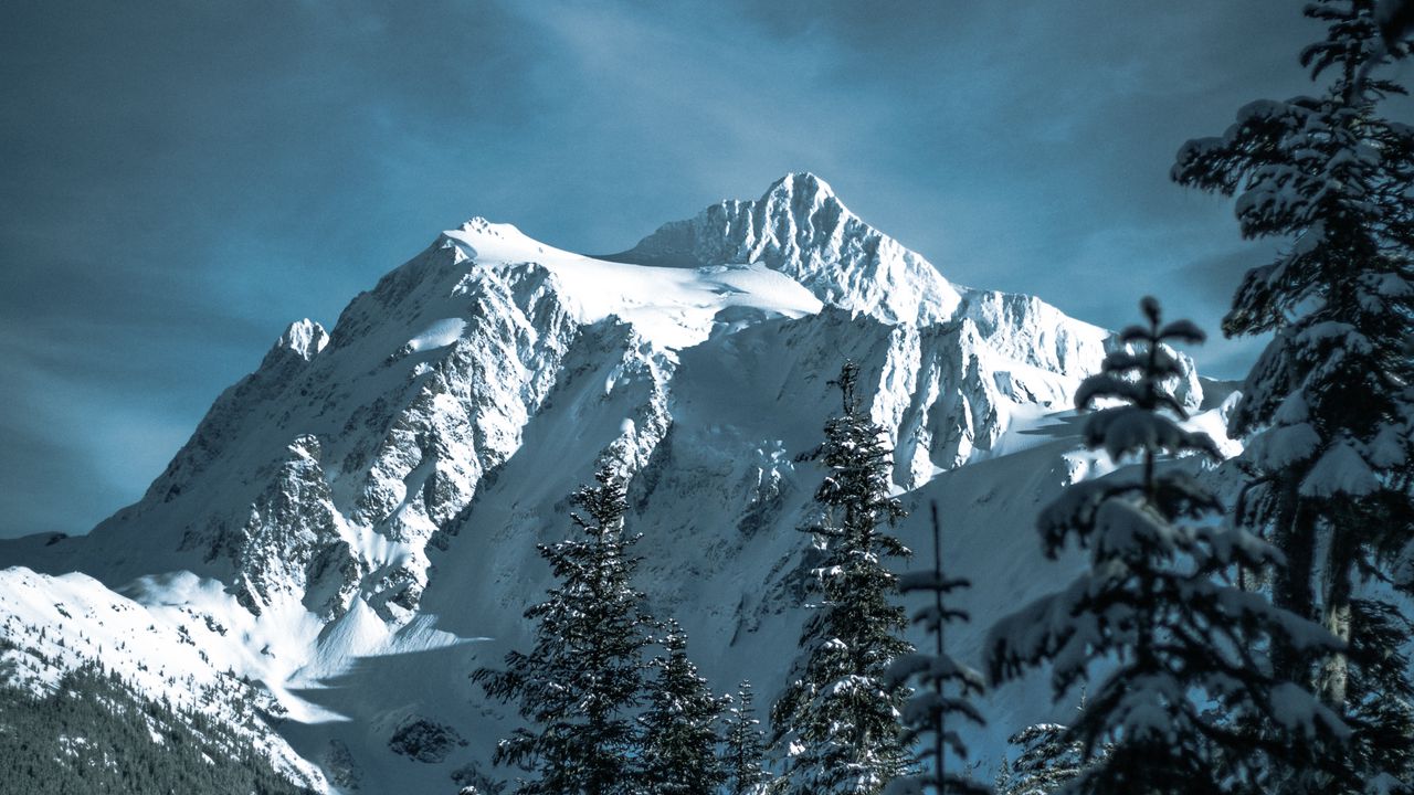 Wallpaper mountains, snowy, trees, forest, winter